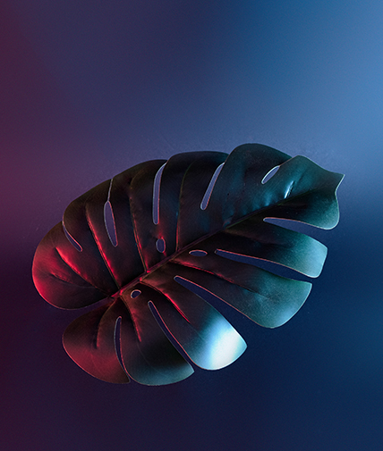 trending-contemporary-tropical-jungle-in-neon-part-JHN9FQK